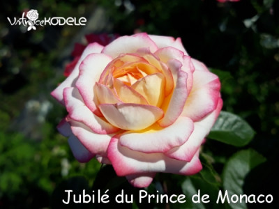 Jubilé du Prince de Monaco
