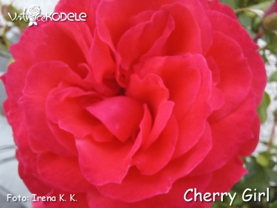 Cherry Girl